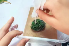 和孩子一起读书，养昆虫，认识大自然图片