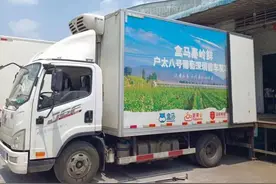 “死磕”户太八号3年 盒马为葡萄“量体裁衣”定标准图片