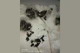男子网购鱼干吃出黑色不明物，厂家：可能是墨鱼仔组织图片