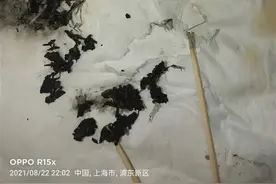 男子网购鱼干吃出黑色不明物，厂家：可能是墨鱼仔组织图片