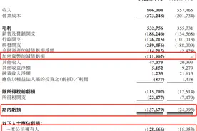 聚焦半年报｜美图“炒币”巨亏1.1亿元，亏损净额扩大4.5倍图片