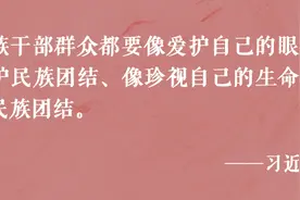 总书记倾心浇灌民族团结进步之花图片