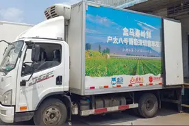 第一车葡萄即日发往深圳，盒马户太八号上市图片