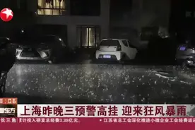上海昨晚三预警高挂  迎来狂风暴雨视频封面