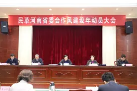 聚焦民革作风建设年｜河南民革：往深里走 往实里干图片