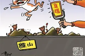 漫话漫画 | 故意把猫扔进猴山拍视频！“以虐取乐”早该停了图片