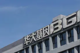 华大基因上半年净利同比降超三成：收入较去年疫情突发时略降图片