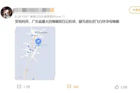“广东最大蟑螂白云机场”上热搜，官方下场解释“蟑螂腿”图片