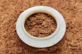 ​一周艺文｜南派三叔新作讲述南洋海路奇案；2600年前有领玉镯重见天日……图片