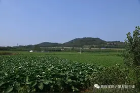 刘氏大地主家的后人们——侍郎宅轶事（下)图片