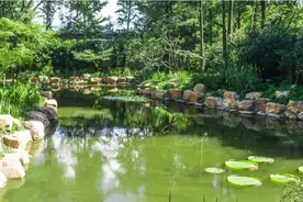共青纳凉攻略（下）丨杉木大道、花林大道、环岛大道，哪条才是你的爱？图片