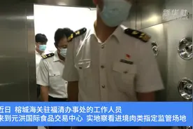 海关部门多举措助推中印尼“两国双园”项目建设视频封面