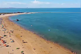 环境部：海洋环境改善明显，但浒苔暴发显示还未“质变”图片