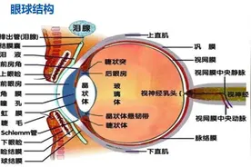 从白内障到眼科肿瘤，患上眼疾究竟有多痛苦？︱走近科学图片