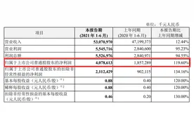中兴通讯半年报：净利润41亿创历史新高，5G基站发货量全球第二图片