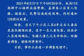 河南孟津警方：三名6岁左右儿童在小区楼顶玩耍，其中一名儿童坠落身亡图片