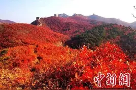 长城脚下“扫地僧”：与长城有关的上万个日夜图片