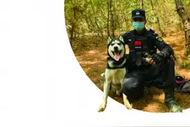 网红警官把哈士奇训练成警犬图片