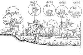 水生植物争霸赛——谁是你心中的No.1？丨花花万物图片