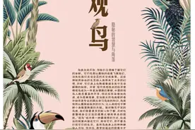 羽毛：生存，飞翔和欲望图片