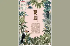 爱鸟的最佳方式，是给予它们距离图片