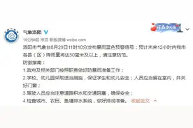 暴雨蓝色预警！洛阳最新路况汇总图片