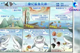 全球连线｜中国首次发现2.9亿年前史前凶猛鲨鱼化石图片