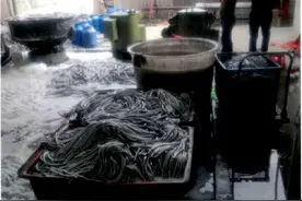 浙江一房东被判刑！只因帮了租客一个忙图片