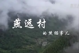 新华全媒+丨燕远村的熊猫事儿图片