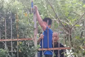 疼！青岛大学生翻栅栏，腿被刺穿~图片