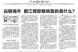 远销海外 都江堰猕猴桃靠的是什么？图片