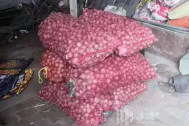 经纪人激活阿城蒜密码 独头蒜成老字号新标签图片