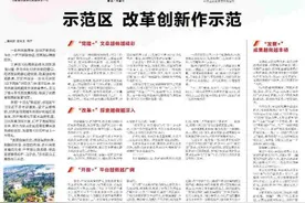 示范区：改革创新作示范图片