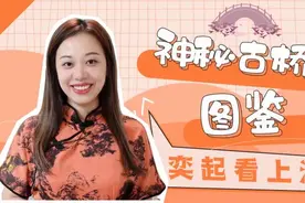 奕起看上海 | 上海古桥知多少？一起打开这份神秘图鉴视频封面