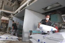 诏安牡蛎壳：变废为宝，为民增收图片