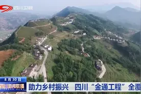 四川新闻联播丨助力乡村振兴 四川“金通工程”全覆盖图片