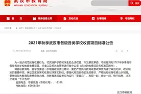收费标准公布！武汉、宜昌、黄石……家长速看图片