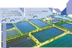 山东济宁综合治理采煤沉陷区 黑色矿区实现绿色蝶变图片