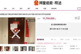 刚刚，时代奥城法拍房8.18万元/㎡成交，低于二手房价图片