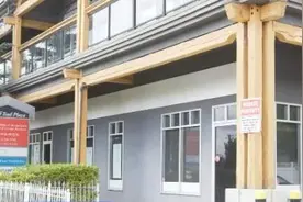 中医药“走出去”速度不断加快 2020年境外收入超3亿元图片