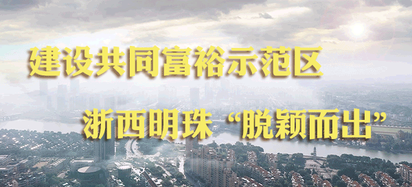 以文融城绘蓝图，以文筑梦润人心！文化龙游一路歌！图片