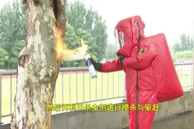 长约一米半的超大马蜂窝惊现学校，滕州民警联合消防员火速清除视频封面