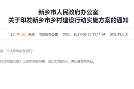 新乡市乡村建设实施方案公布！医疗、教育、交通等将有大变化图片
