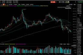 白酒股上半年：业绩普遍盈利、股价集体震荡、外行入局、张坤减持图片