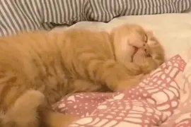 梦境反映健康状态，这几种做梦状态需要注意图片