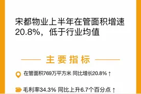 镁刻·中报速读｜宋都物业：上半年社区增值服务收入同比下降49.89%图片