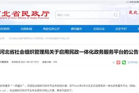 全部实行线上办理！河北启用民政一体化政务服务平台图片