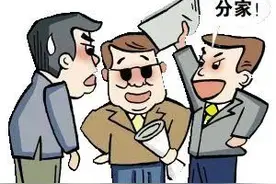 家庭成员通过分家析产所获得财产的认定及其继承处理图片