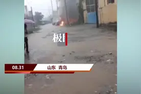 雨下得正大，青岛一工业园三辆汽车蹊跷起火图片