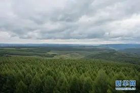 让青山常在、绿水长流、空气常新 | 评论员观察图片